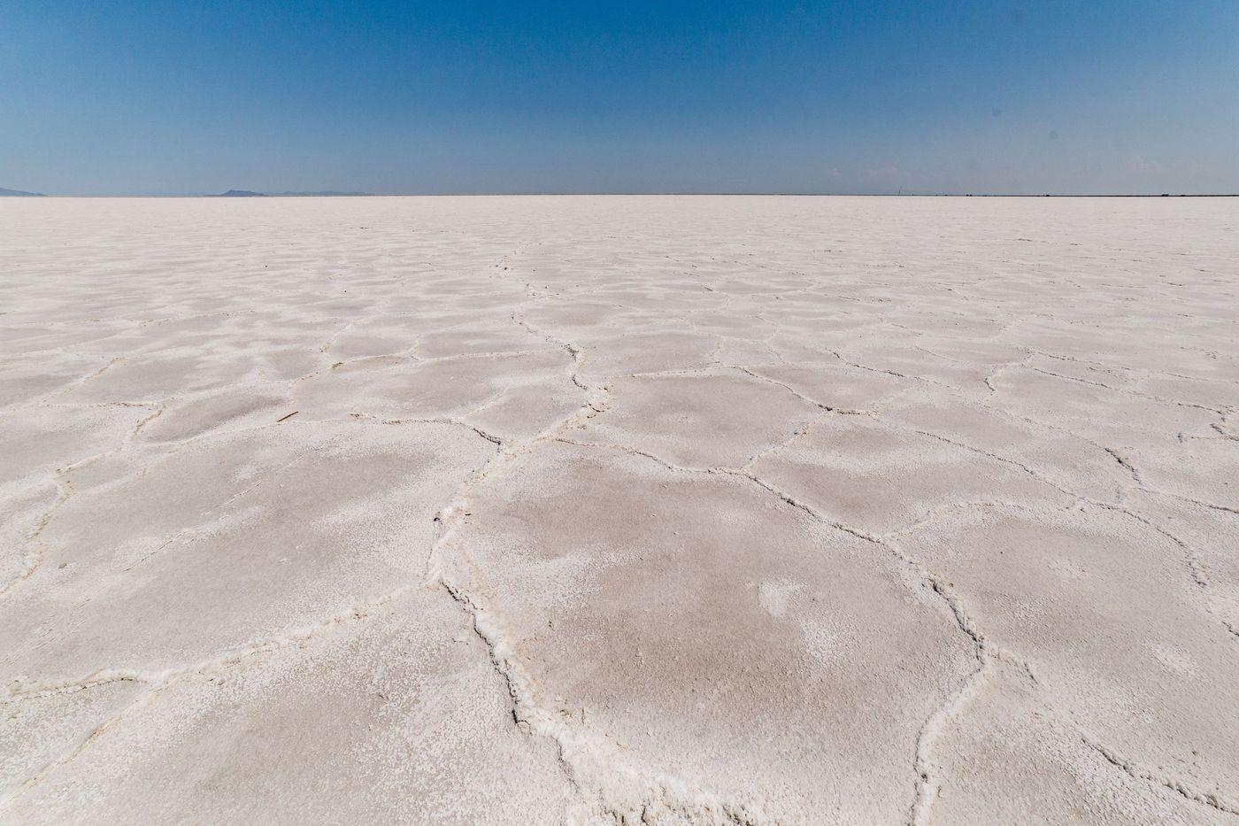 Polygonal salt crust patterns covering a dry pan under a clear sky
